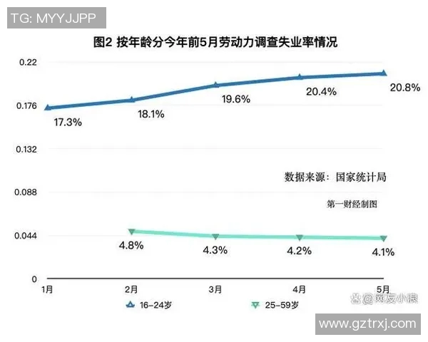 调查分析当前社会青年就业现状及其面临的主要挑战和解决对策