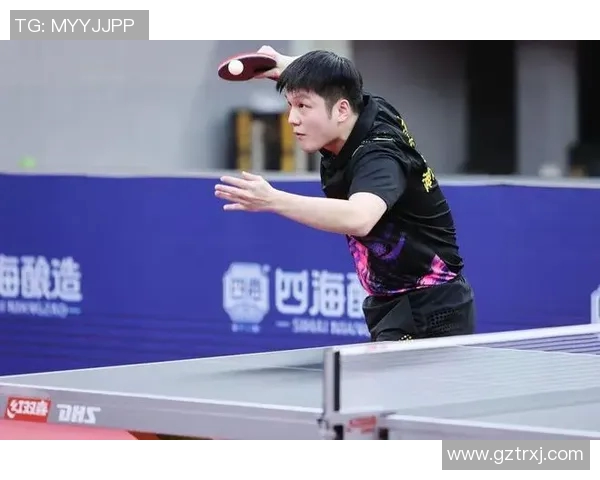 上海乒乓球队总决赛表现分析与状态评估的深度解读